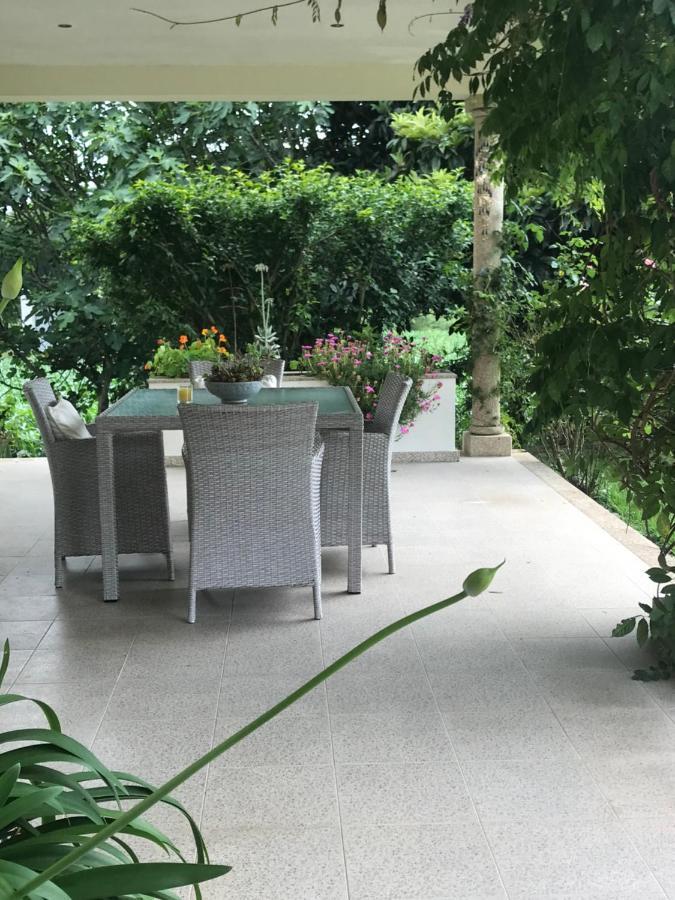 Camelias Bed & Breakfast Guimaraes Luaran gambar